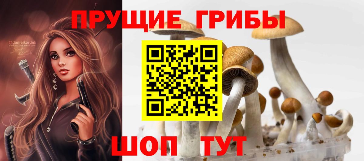 Долгопрудный  Псилоцибиновые грибы ЛСД  Вход с VPN 